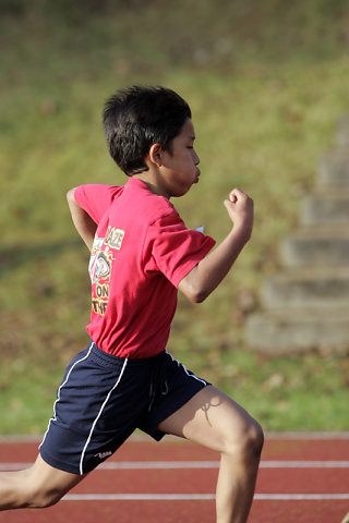 Minicross 2008