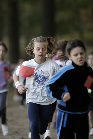 Minicross 2008