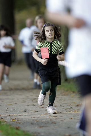 Minicross 2008
