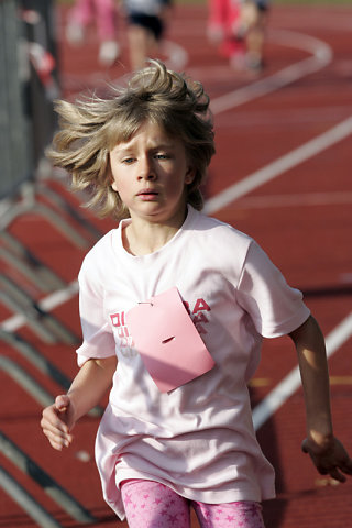 Minicross 2008