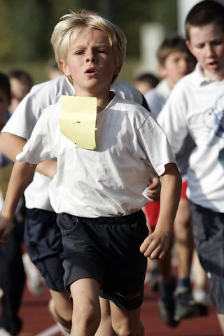 Minicross 2008