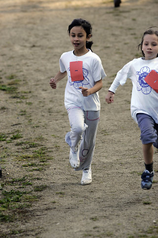 Minicross 2008