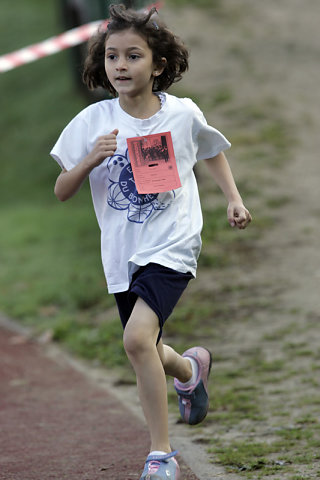 Minicross 2008