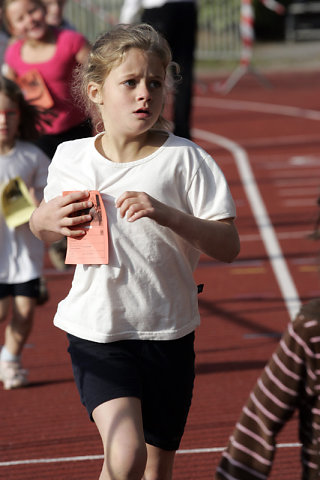Minicross 2008