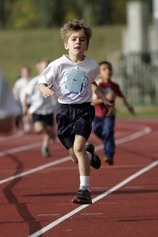 Minicross 2008