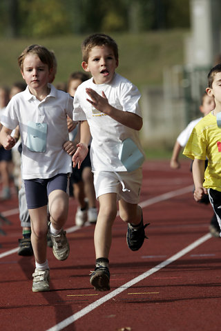 Minicross 2008