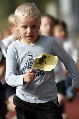 Minicross 2008