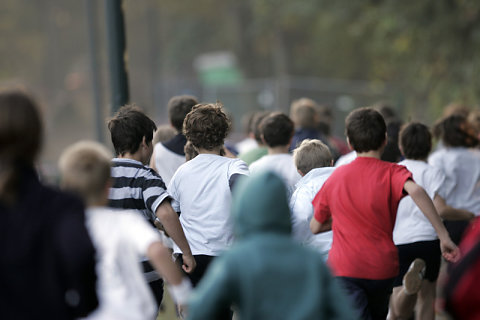 Minicross 2008