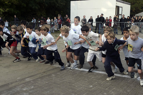Minicross 2008