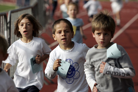 Minicross 2008