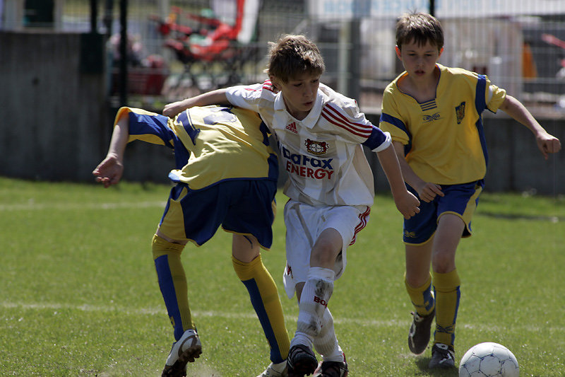 IRIS TOURNAMENT