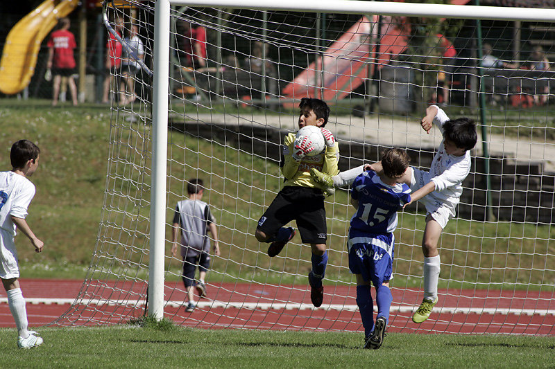IRIS TOURNAMENT
