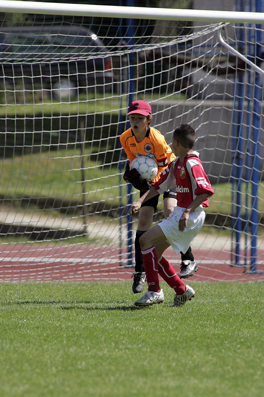 IRIS TOURNAMENT