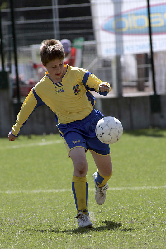 IRIS TOURNAMENT