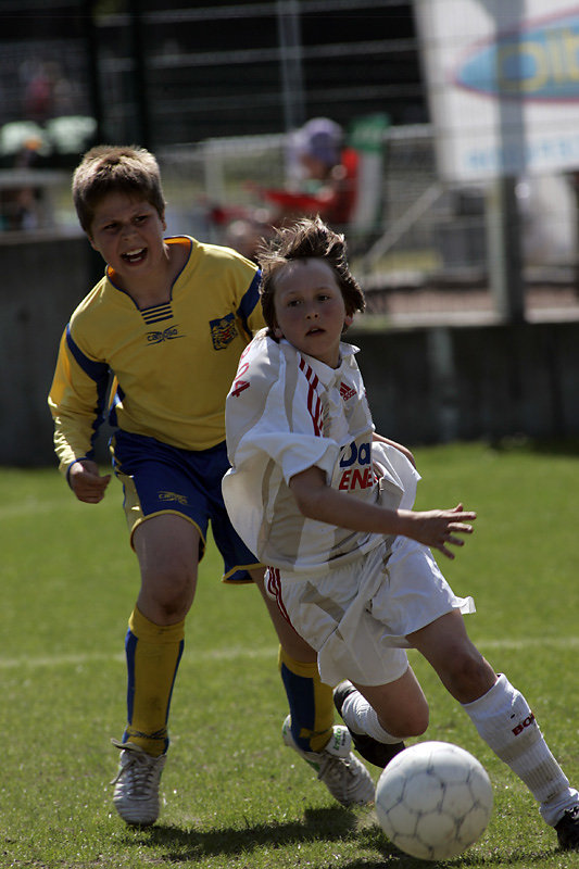 IRIS TOURNAMENT