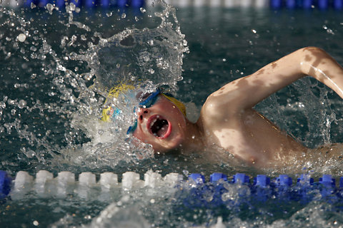 Tournoi Natation 2008