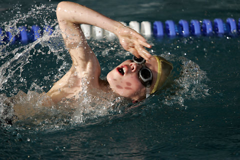 Tournoi Natation 2008