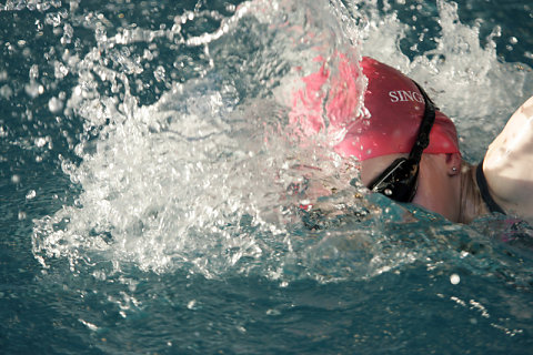 Tournoi Natation 2008