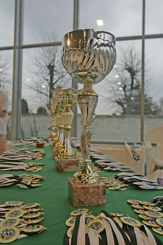 Tournoi Natation 2007