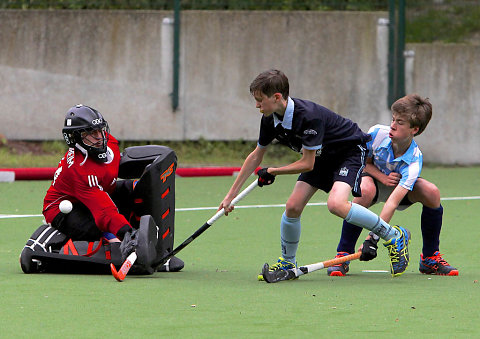 Tournoi Hockey 2016