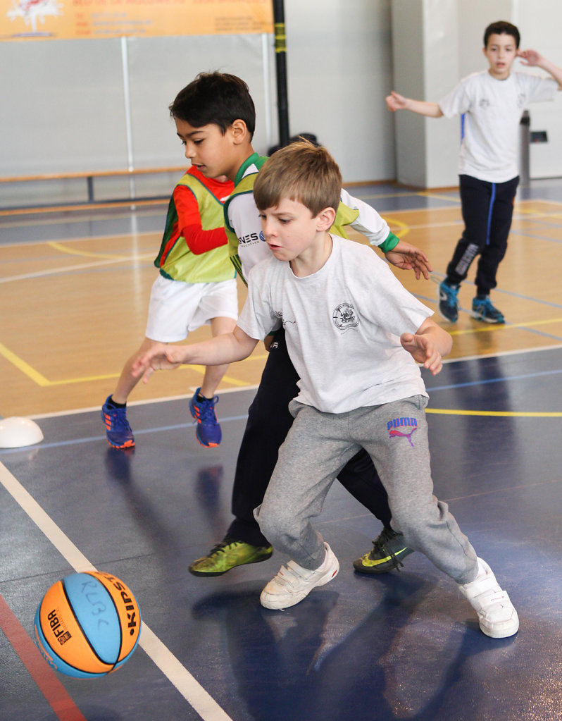 BASKET-17-008.JPG