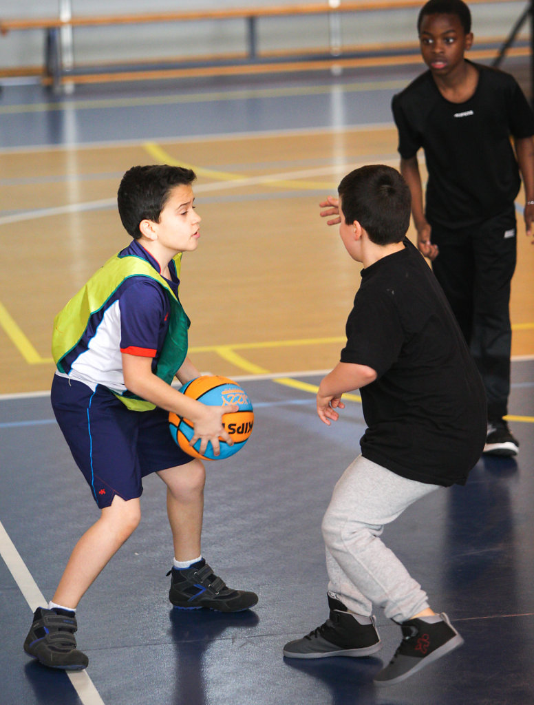 BASKET-17-028.JPG