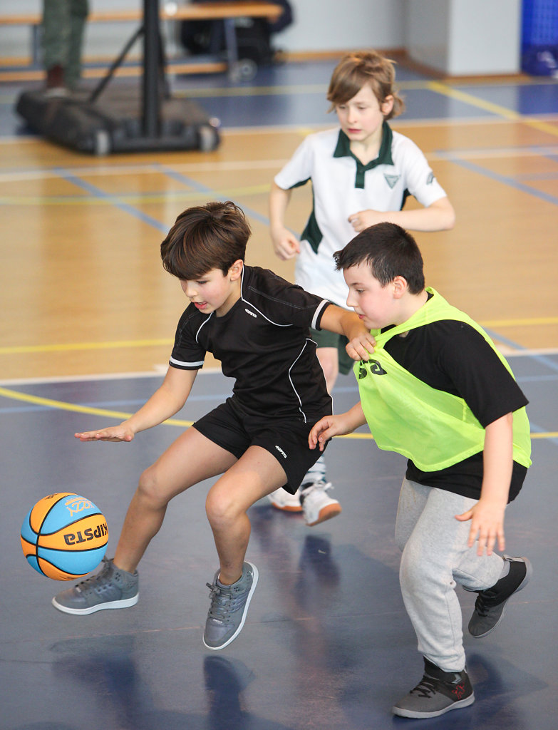 BASKET-17-102.JPG