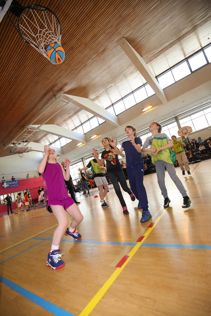 BASKET-17-114.JPG