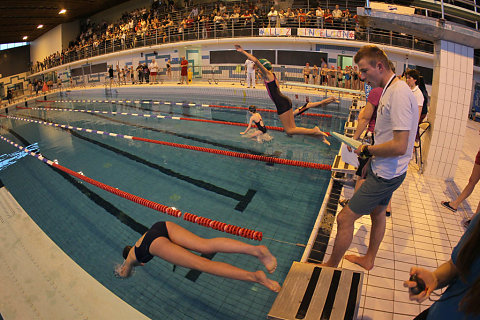 Tournoi Natation 2017