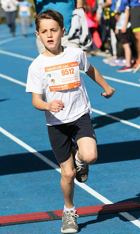 15 km 2017