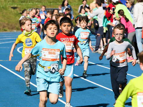 15 km 2017