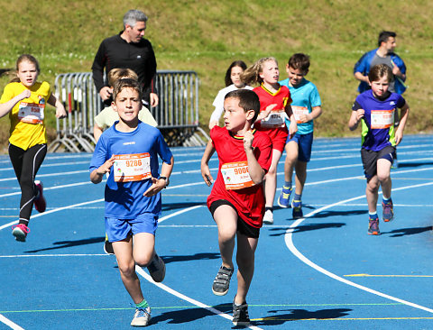 15 km 2017