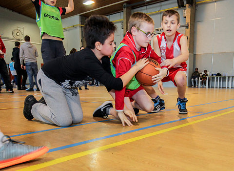 Tournoi Basket 2018