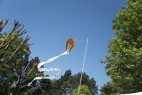 Fête de quartier Andromède