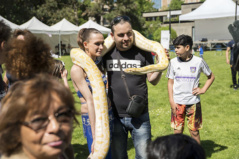 Fête de quartier Andromède