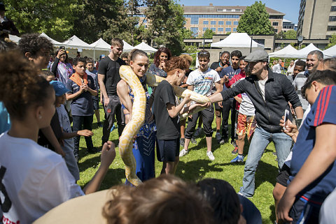 Fête de quartier Andromède