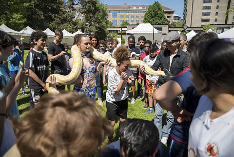 Fête de quartier Andromède