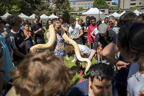 Fête de quartier Andromède