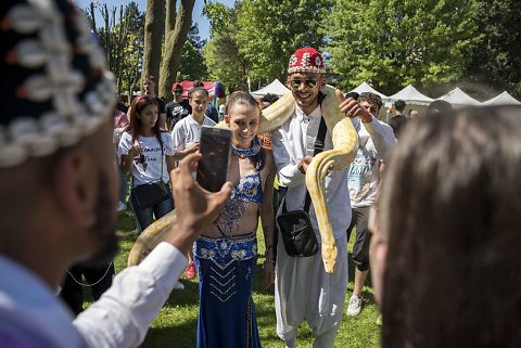 Fête de quartier Andromède