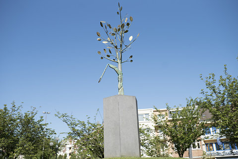 Commémoration du 8 mai