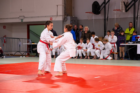 Gala de Judo 2018