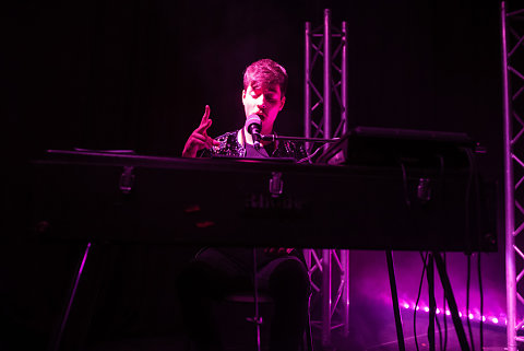 Musicales Dynamicone - Stefan Gillis chante Bashung 2019