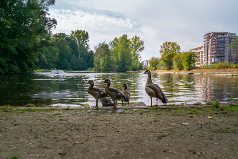 Balade à vélo à Woluwe-Saint-Lambert 2020