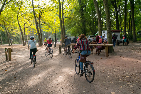 Balade à vélo à Woluwe-Saint-Lambert 2020